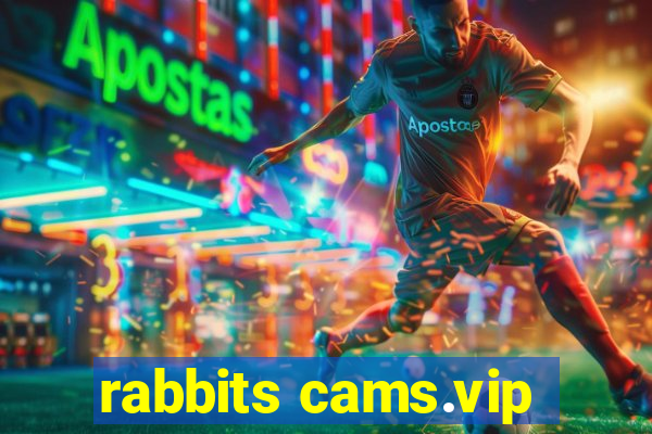 rabbits cams.vip